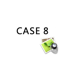 case 8